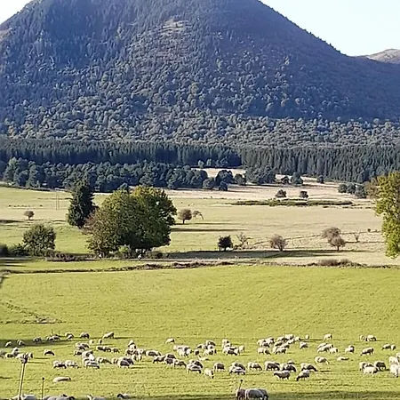 A 5 Mns Du Puy De Dome Avec Vue Imprenable Rez De Jardin 24m2 Neuf A Laschamps Saint-Genes-Champanelle