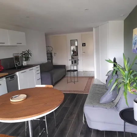 A 5 Mns Du Puy De Dome Avec Vue Imprenable Rez De Jardin 24m2 Neuf A Laschamps